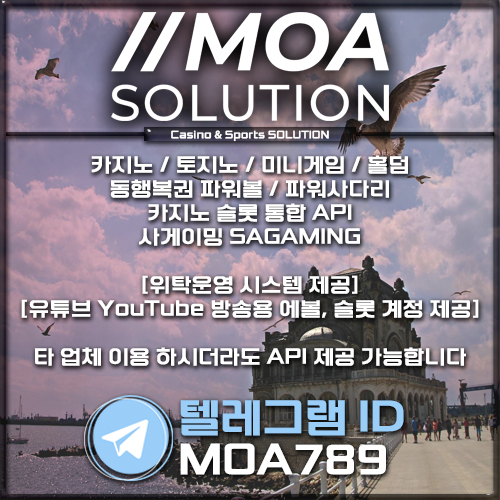 카지노솔루션.jpg