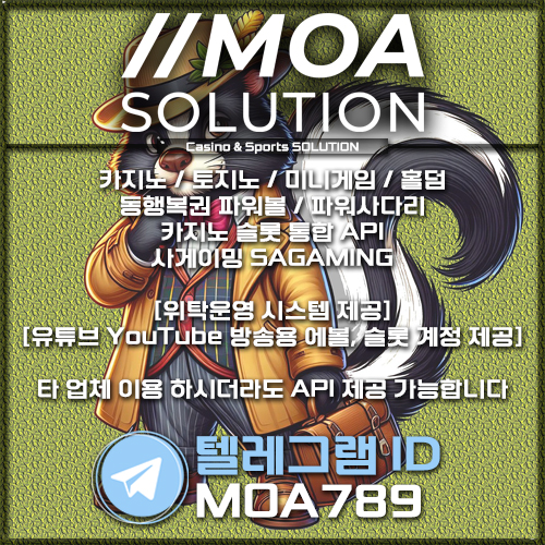 카지노솔루션.jpg